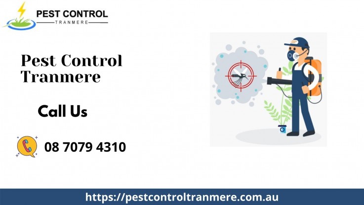 Pest Exterminators in Tranmere, SA