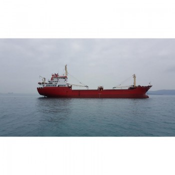 Roro Cargo Ship6