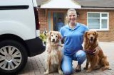 Pet Services Business for sale 