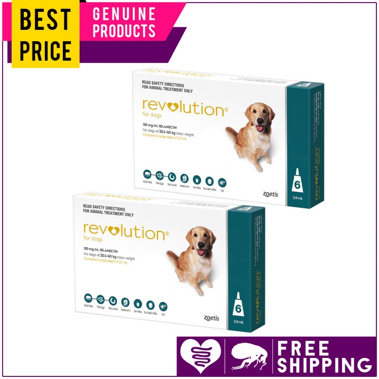 REVOLUTION For Dogs 12 Doses ALL SIZES