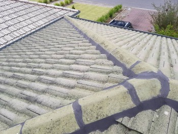 Heat Reflective Roof Paint