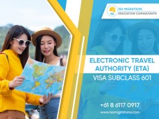 Want To Know About Visitor Visa 601