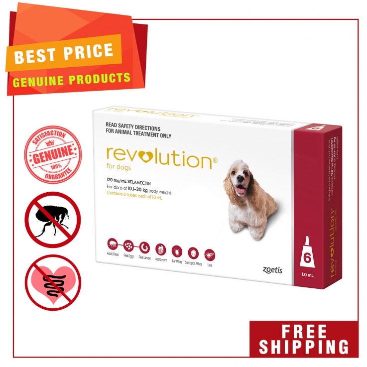 Take extra care of your Dogs Revolution