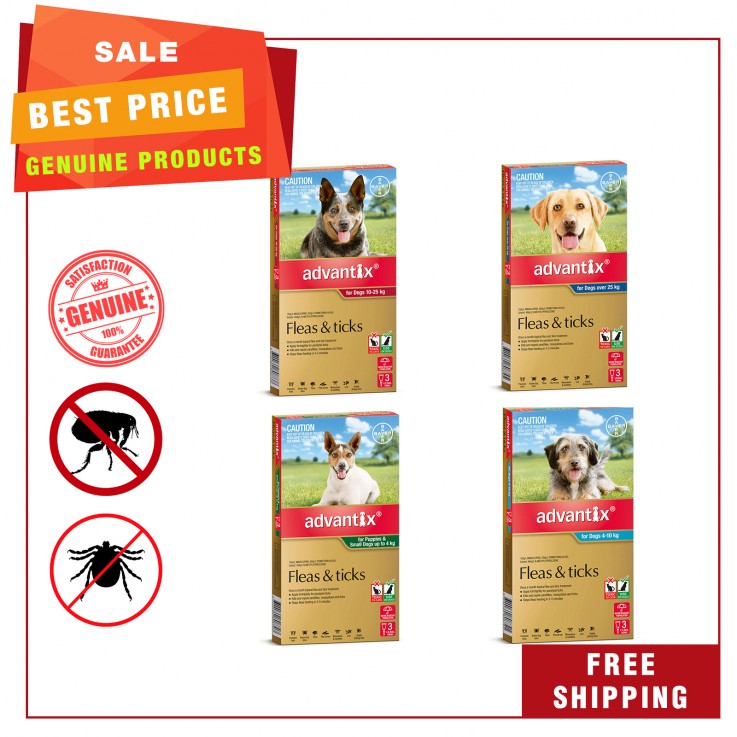 Advantix is great flea & tick prevention