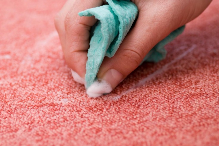 Best Carpet Cleaning Brisbane