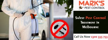 Best Pest Control Brisbane