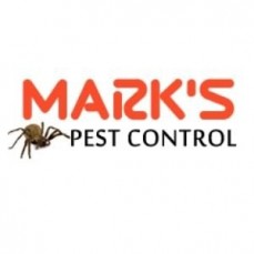 Best Pest Control Brisbane