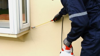 Pest Control Bulimba