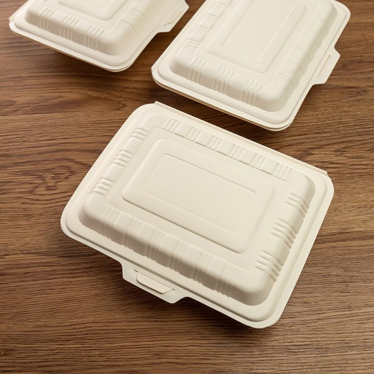 Biodegradable And Compostable Tableware87