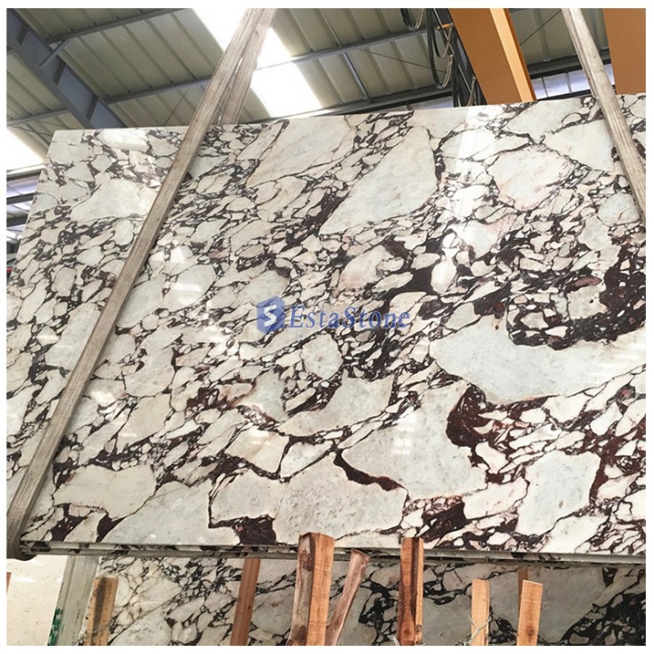 Calacatta Viola Red and White Marble Slabs64