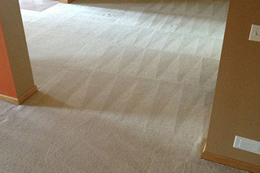 Carpet Cleaning Dulwich Hill