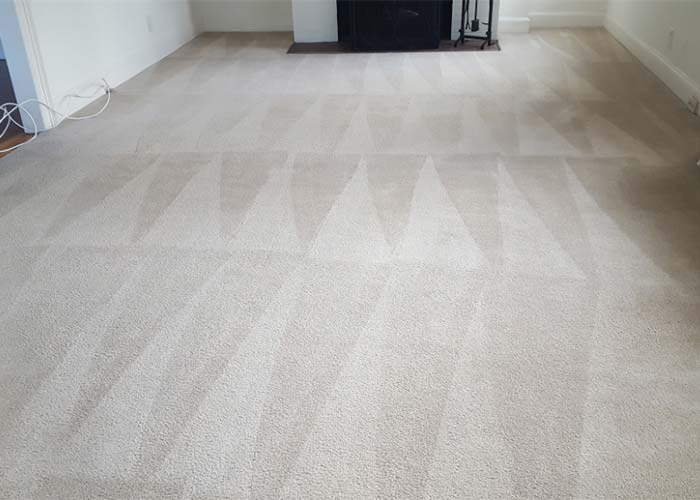 Carpet Cleaning Dulwich Hill