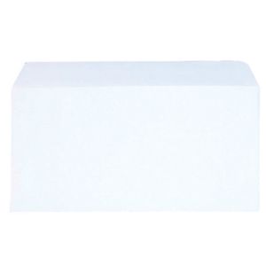 Dl Envelope Budget White