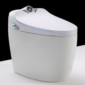 smart toilet45