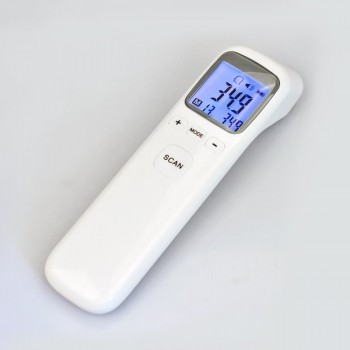 Fixed Thermometer83