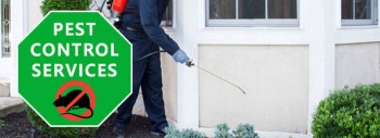 Pest Control Chapel Hill