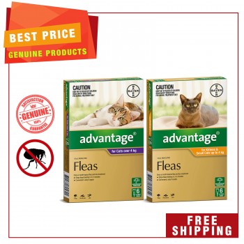 Advantage is a flea treatment for cats.