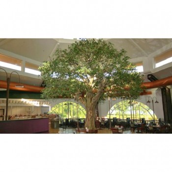 Fake Banyan Tree58