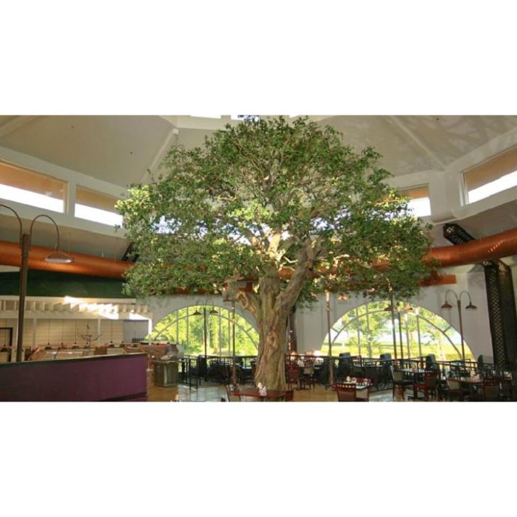 Fake Banyan Tree58