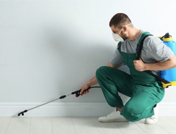 Pest Control In Ashwood | Alpha Pest Control Ashwood