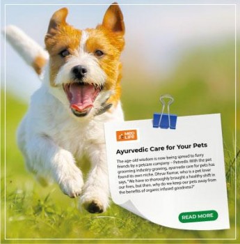 Pet Products - PetVeda