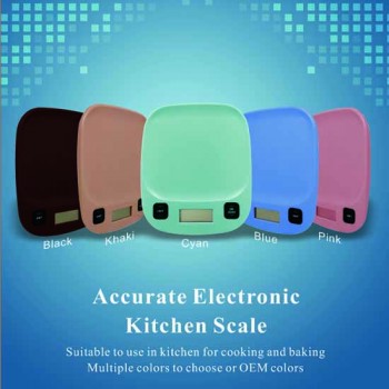 Plastic Electronic Kitchen Scale15