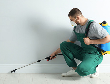 Pest Control In Newtown | Same Day Pest Control Newtown