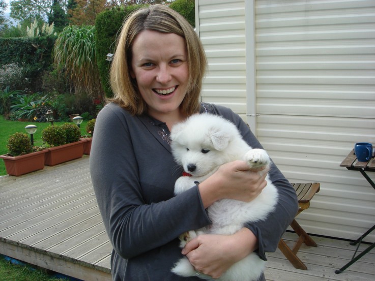 Samoyed Puppies