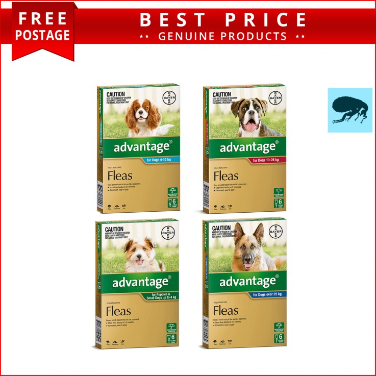 ADVANTAGE 6 Doses for Dogs Flea control 