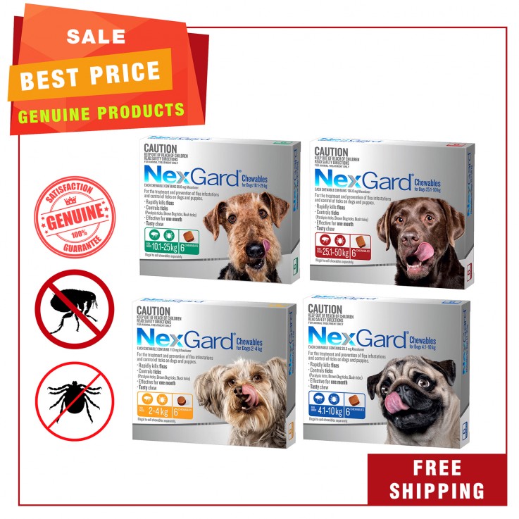 NexGard Monthly Flea and Tick Prevention