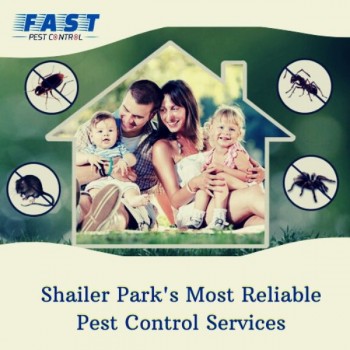 Pest Control Shailer Park