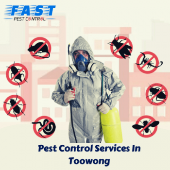 Pest Control Toowong