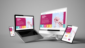 Business Website Design & Development- W