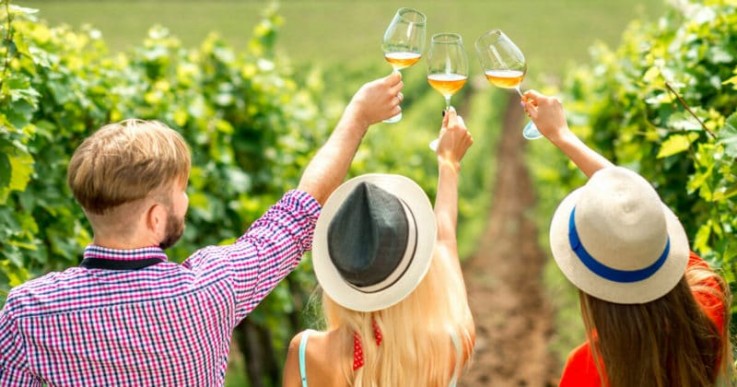 Wine Tours Queensland