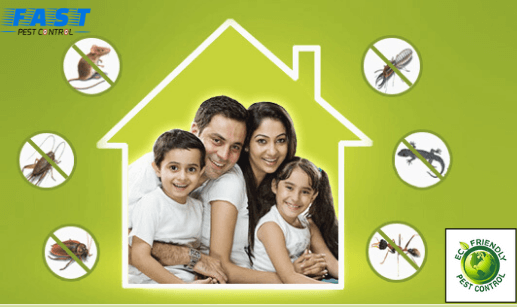 Pest Control East Toowoomba