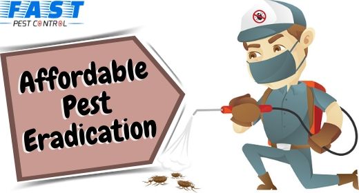 Pest Control East Toowoomba