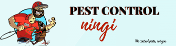 Pest Control Ningi