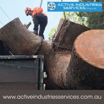 ACTIVE INDUSTRIES (Decking & Landscaping Services - Sydney and Hills Districts)