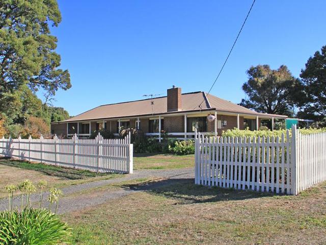 Behind the Picket Fence