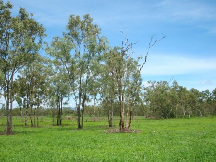 Proposed Lot 2 Blacks Road