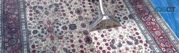 Professional Rug Cleaning Service Brighton