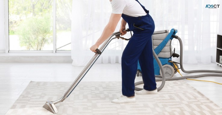 Best Carpet Steam Cleaning