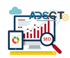 Professional SEO Services in Adelaide, Australia