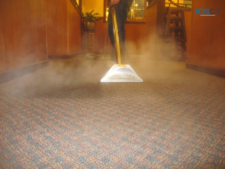 Best Carpet Cleaning Services