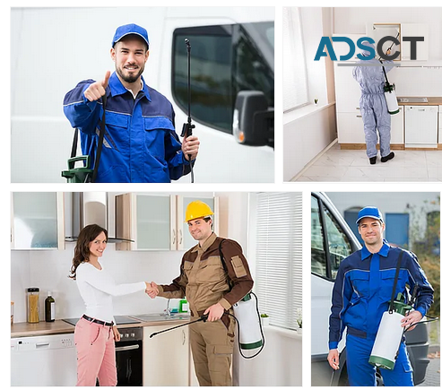 Commercial Pest Control Melbourne