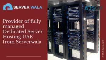 Provider of fully managed Dedicated Server Hosting UAE from Serverwala