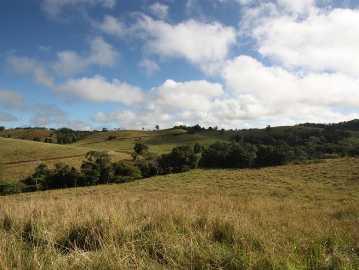 F1165 - SPECTACULAR TABLELAND TABLEAU