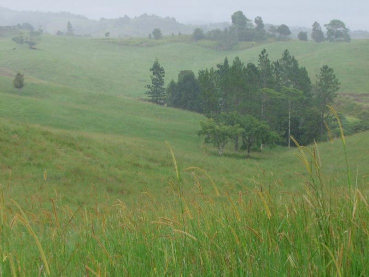 F1109 - BEATRICE RIVER GRAZING