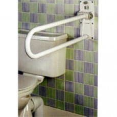 Toilet support rail