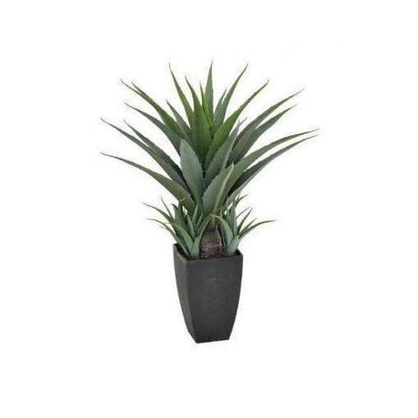 Agave 73cm In A Decorative Black Pot